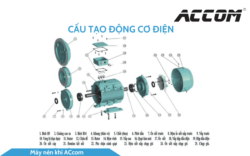 cau-tao-dong-co-dien