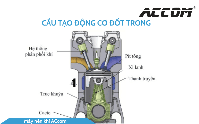 cau-tao-dong-co-dot-trong