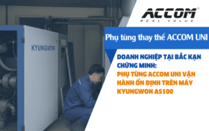 Phụ tùng ACCOM UNI thay thế trên máy nén khí Kyungwon AS 100